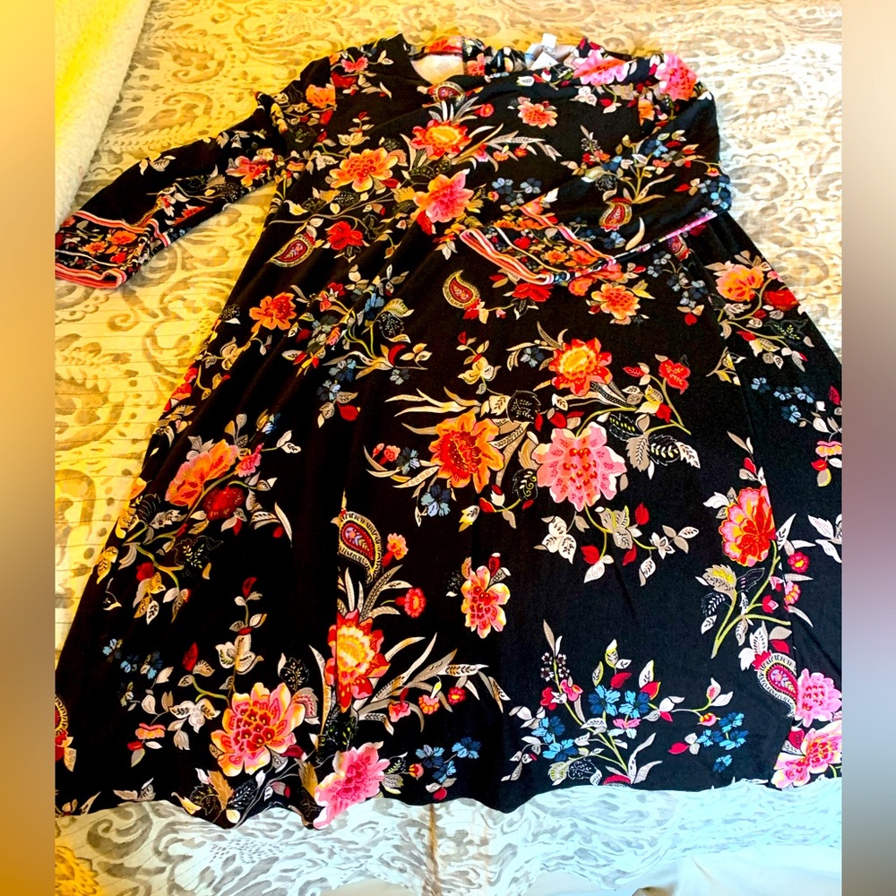 NWT Loft, long sleeve swing dress